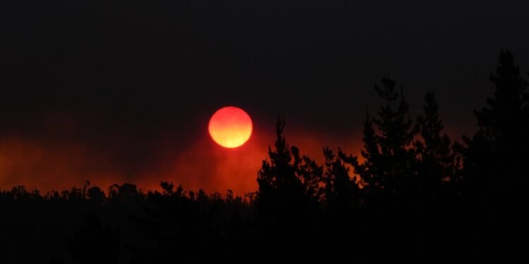 Forest fires rage on in central Chile killing at least 64