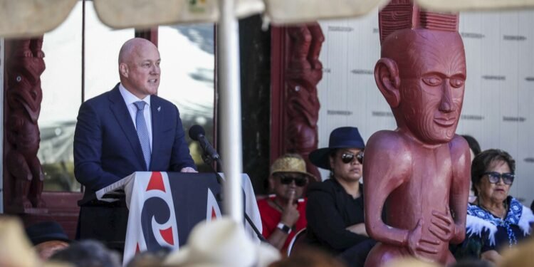 Tensions run high in New Zealand ahead of national day over government’s relationship with Maori