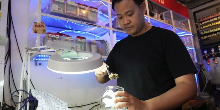Thailand looks set to crack down on legal pot market with ban on ‘recreational’ use