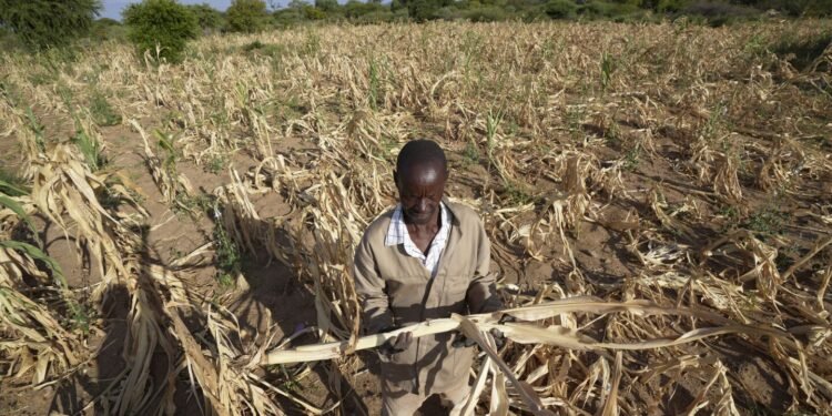 In a cycle of extreme weather, drought in southern Africa leaves some 20 million facing hunger