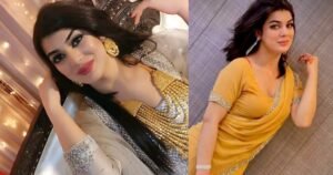 Dolphin Ayan viral video case: First-ever case filed under PECA Act in