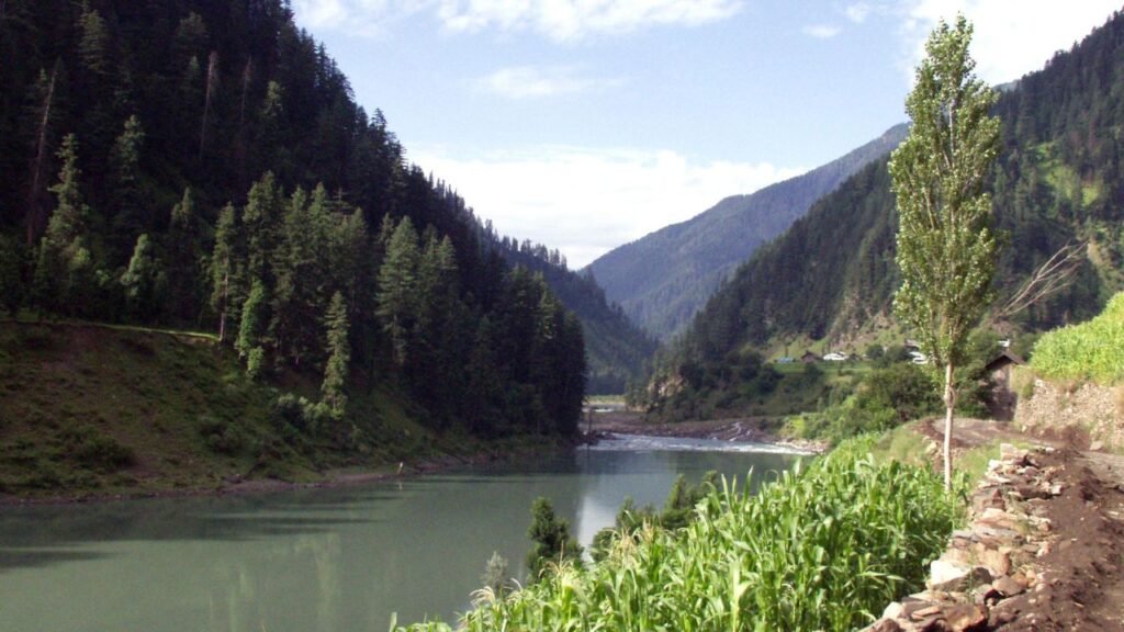 Teen jumps into Jhelum river after exam failure; Brother drowns trying to save him