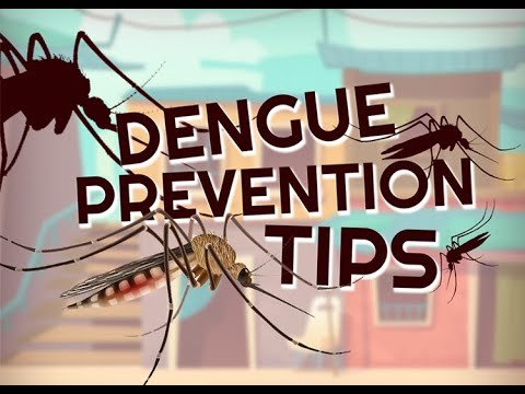Top 10 Dengue Prevention Tips | How to Prevent Dengue Effectively Dengue Prevention Tips