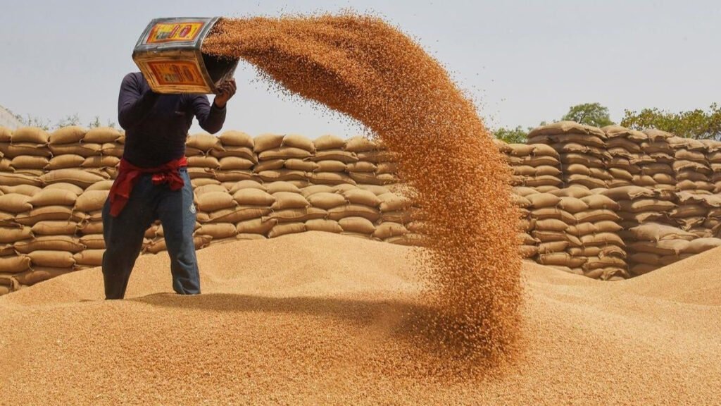 Wheat Procurement Price 2025 Pakistan