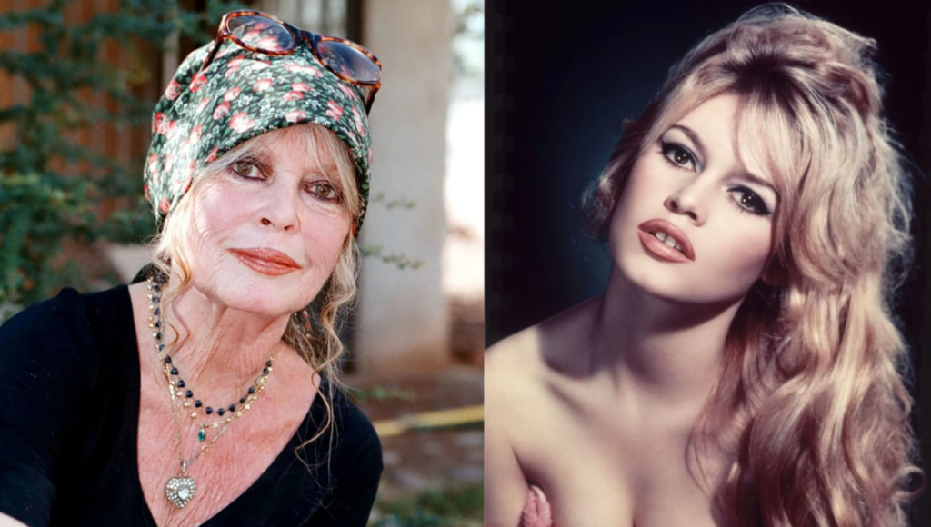 Brigitte Bardot, From Screen Siren to Far Right Firebrand, A Legacy That Still Divides France