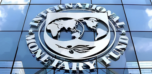 Which New Monitoring System Did the Government Introduce to Meet IMF Demands?