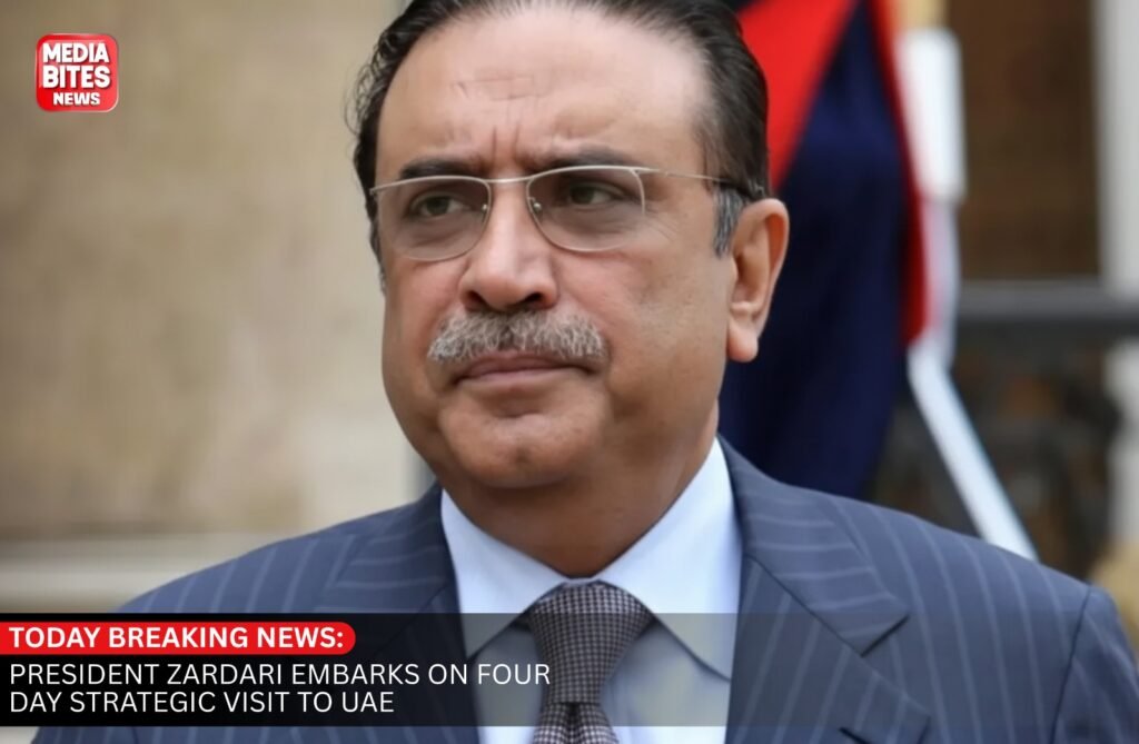 President Zardari Embarks on Four-Day Strategic Visit to UAE