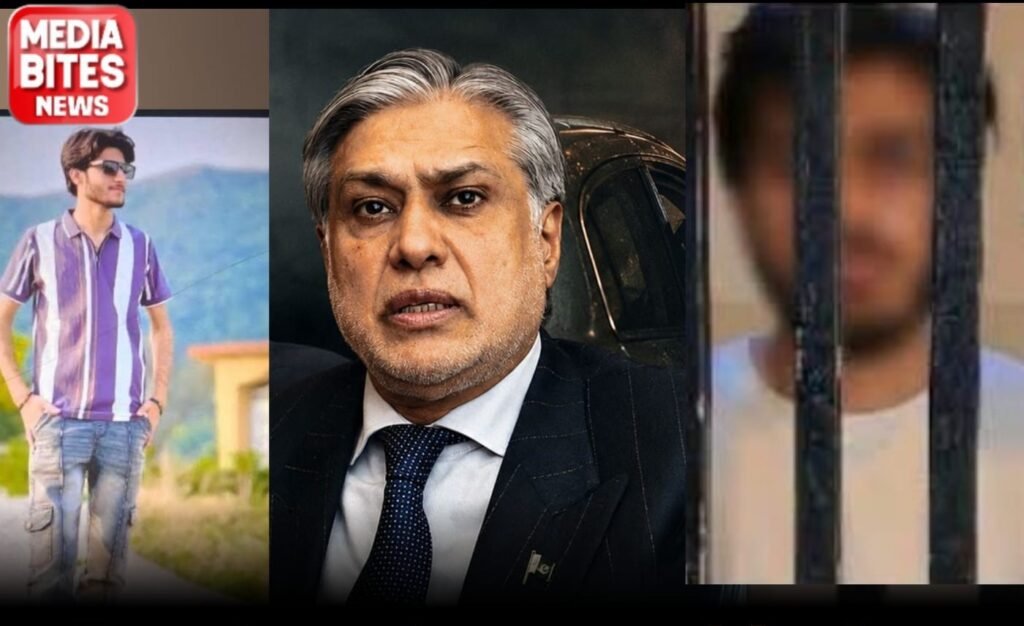 Two twenty-year-olds, two Pakistans — what a kidnapping case and a murder say about privilege and violence